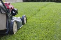 Lawn Mowing Richardson image 3